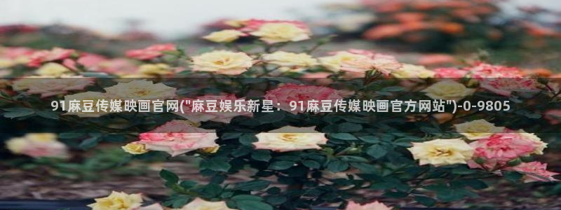 麻豆娱乐传媒官网:91麻豆传媒映画官网(\